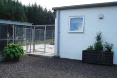 boarding kennels in lanarkshire